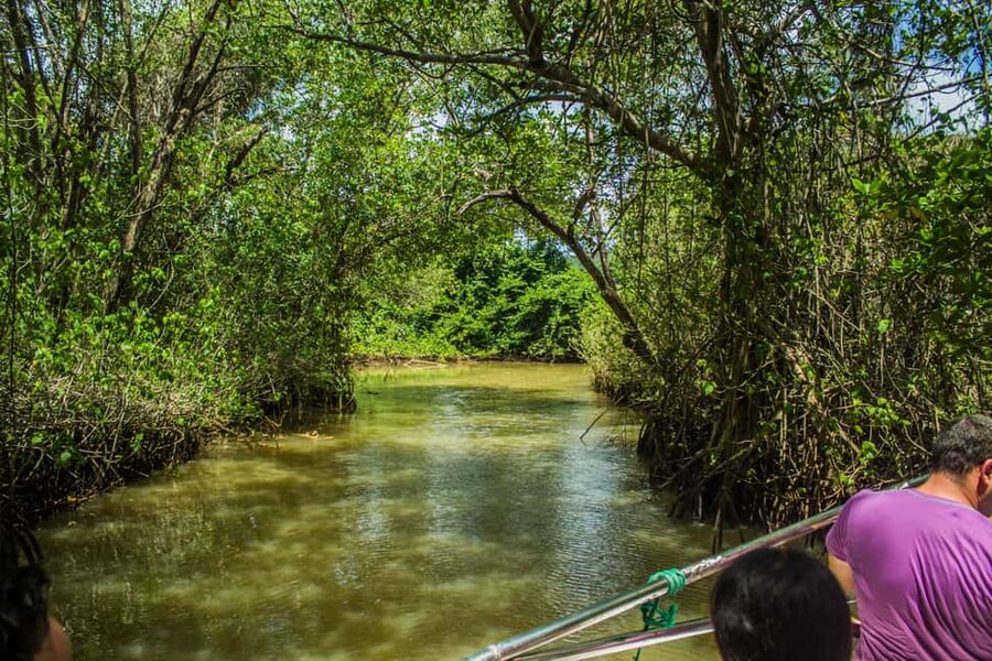 2in1: Los Haitises National Park + Yanigua Waterfall-SPA - Key things to know before you go
