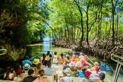 2in1: Los Haitises National Park + Yanigua Waterfall-SPA - Los Haitises National Park: Jurassic Park filming + boat cruise viewpoints