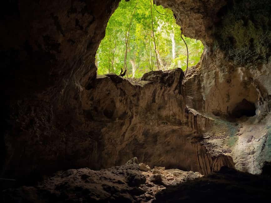 2in1: Los Haitises National Park + Yanigua Waterfall-SPA - Cacao show + coffee tasting: how Dominican chocolate actually gets made