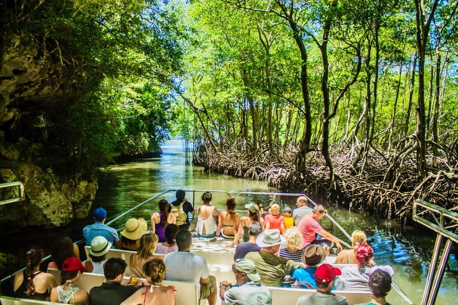 2in1: Los Haitises National Park + Yanigua Waterfall-SPA - Los Haitises National Park: Jurassic Park filming + boat cruise viewpoints