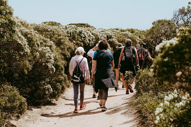 3 Day Margaret River Yoga Wellness Glamping Adventure From Perth - Day 2: Farmers markets, a Surfers Point bushwalk, and Giniversity gin tasting
