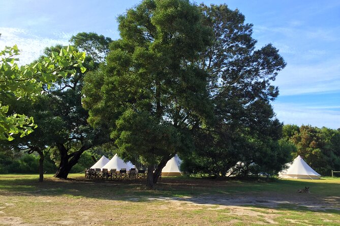 3 Day Margaret River Yoga Wellness Glamping Adventure From Perth - Food and tastings: the trip’s strongest “balance” ingredient