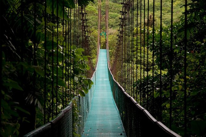 3 in 1 Combo: La Fortuna Waterfall, Hanging Bridges, Thermal Spa from San José - Key points to know before you go
