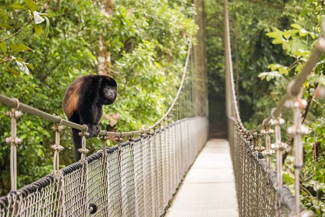 3 in 1 Combo: La Fortuna Waterfall, Hanging Bridges, Thermal Spa from San José - Who should book this 3-in-1 combo (and who should pause)
