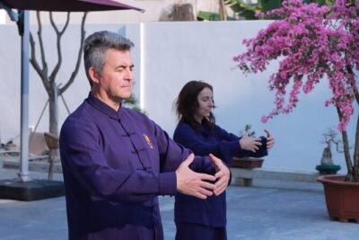 7-Day TaiChi & Qigong Wellness Retreat in China - What you’ll learn besides forms: theory, levels, and cultural context