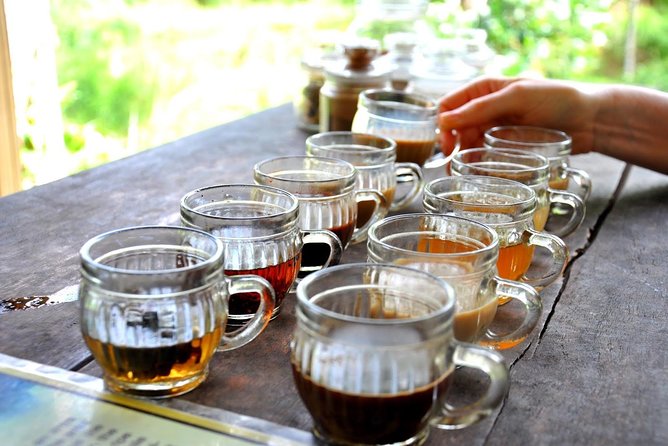 All-Inclusive Bali Ultimate with 2 hours Spa and Lunch - Sacred Monkey Forest Sanctuary and Ubud’s Familiar Highlights