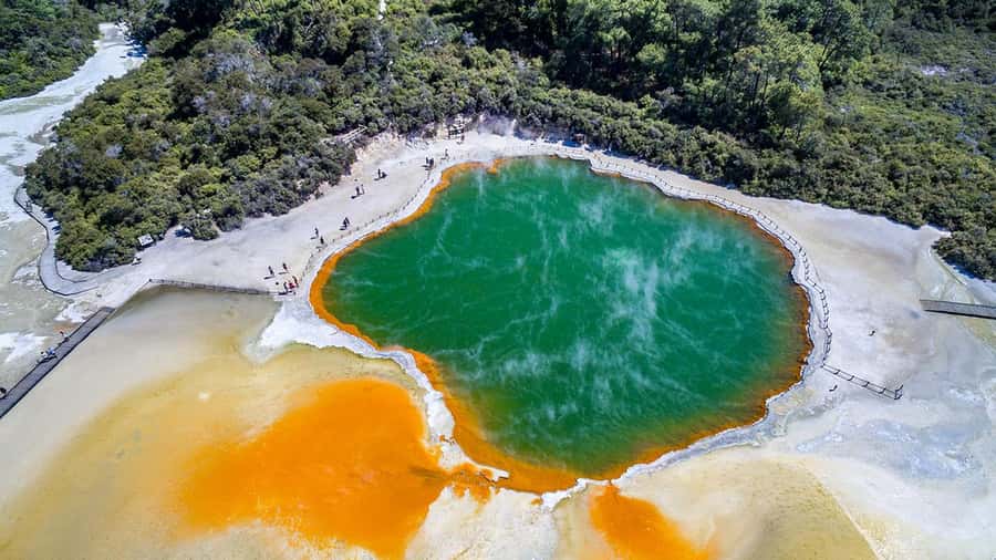 Auckland: Rotorua Highlights inc Wai-O-Tapu & Polynesian Spa - Polynesian Spa Deluxe Lake Spa: two hours of mineral soak time