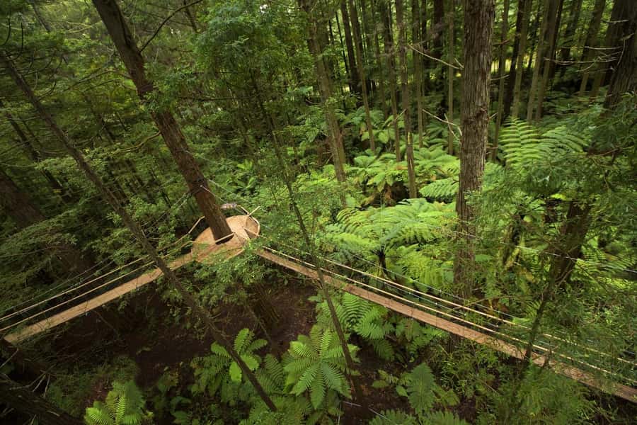 Auckland: Rotorua Highlights with Redwoods Treewalk & Spa - Key things I’d book for on this Auckland to Rotorua day