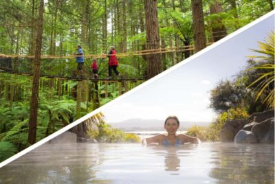 Auckland: Rotorua Highlights with Redwoods Treewalk & Spa - Getting from Auckland to Rotorua: Waikato farms, rivers, and real road time