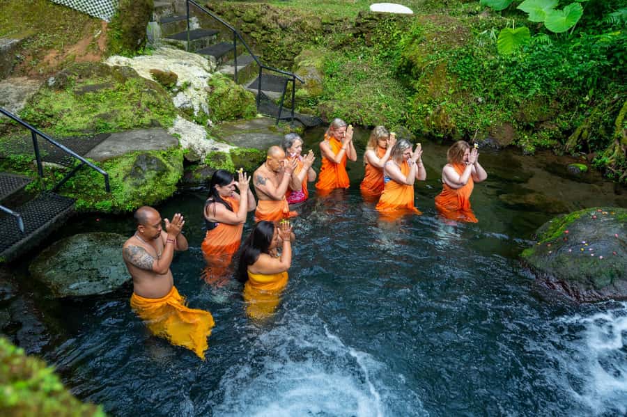 Bali: Healing Immersion Ubud Balinese Wellness + Lunch - Included lunch: choosing Western or Indonesian, and vegetarian/vegan/no-problem options