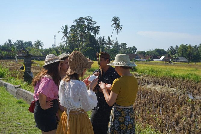 Balinese Traditional Food Cooking Class with Ubud Monkey Forest and SPA - Why This Ubud Food, Monkeys, and Spa Combo Works