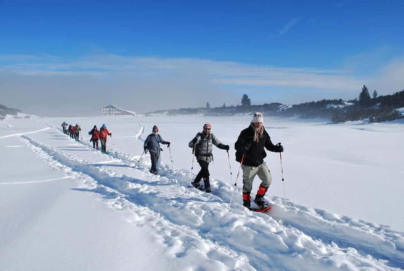 Bansko: Easy snowshoeing Pirin National Park & thermal spa - Snowshoeing the easy-to-moderate tracks: what that usually means