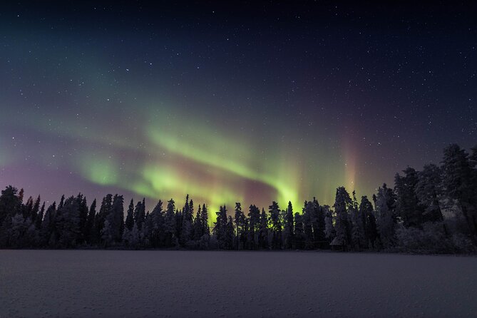 Best Of Lapland: Sauna, Ice swimming, Dinner & Northern Lights - Dinner Over an Open Fire: Smoked Salmon Comfort Food