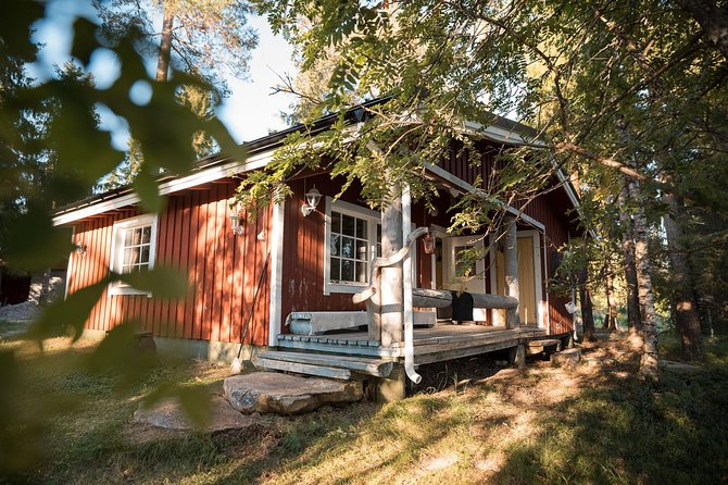 Best Of Lapland: Sauna, Ice swimming, Dinner & Northern Lights - Northern Lights: How to Increase Your Odds (and Keep Expectations Real)