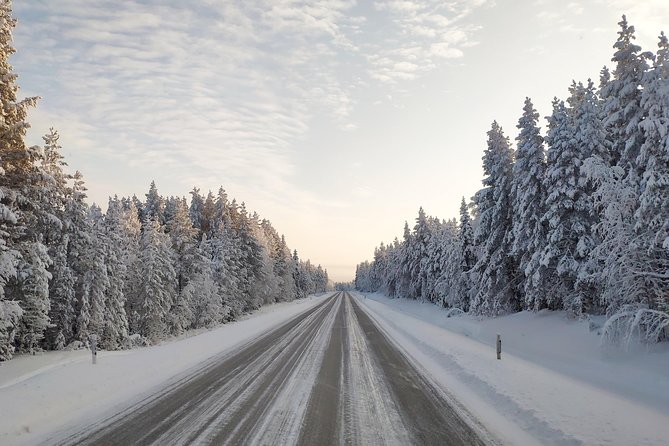 Best Of Lapland: Sauna, Ice swimming, Dinner & Northern Lights - Price and Value: Is $189.94 Worth It?