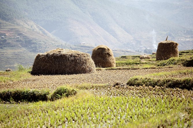 Bhutan Spiritual & Wellness Tour Package With Monastic Stay - Key highlights worth your attention