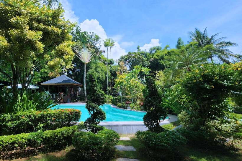Boracay: Spa and Wellness Experience at Helios Spa - After Your Massage: Juice, Mango Graham Cake, and That Nice Post-Session Drift