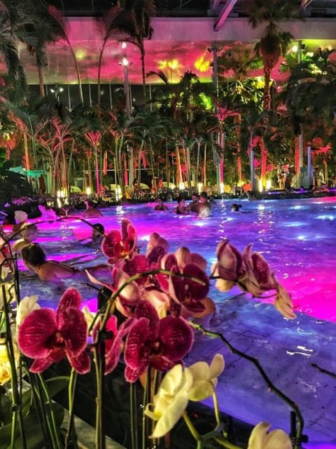 Bucharest: Therme Spa Night Experience with Transfer - Entering Therme Bucharest at Night: 4.5 Hours Total, 3 Hours in the Water