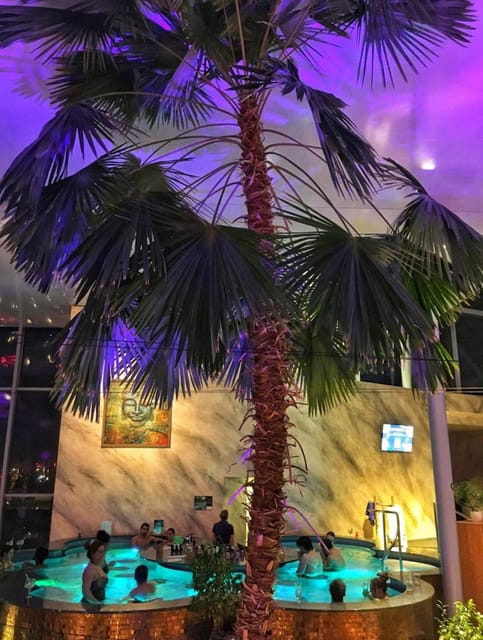 Bucharest: Therme Spa Night Experience with Transfer - Palm Grove Lights and Galaxy Energy: What the Two Included Areas Feel Like