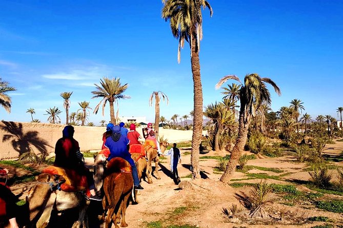 Camel Ride and Spa Treatment in Marrakech - First Stop: Hotel Pickup and the Trip Out to the Palmeraie