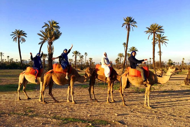 Camel Ride and Spa Treatment in Marrakech - Value Check: Is $67.46 a Good Deal for Camel + Hammam?