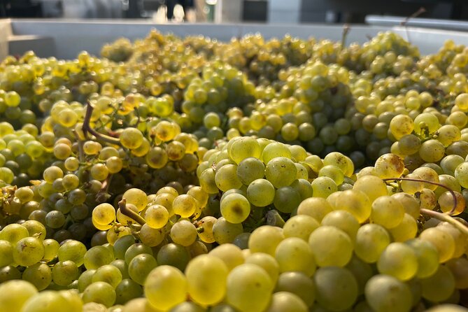 Custom Willamette Valley Wine Tours from The Allison Inn and Spa - Key things to know before you go
