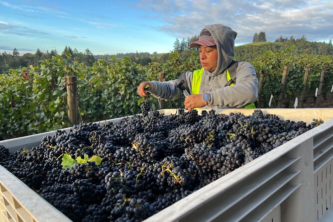 Custom Willamette Valley Wine Tours from The Allison Inn and Spa - Dundee and then back through Newberg: town flavor without long detours