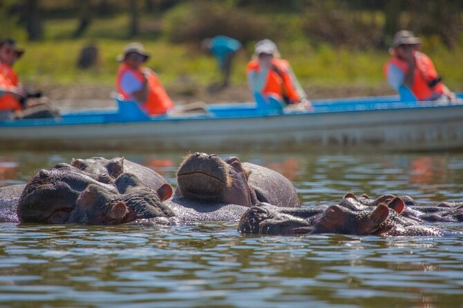 Day Tour to Lake Naivasha, Hell's Gate and Spa - Price and value: $130 plus the add-ons you should expect