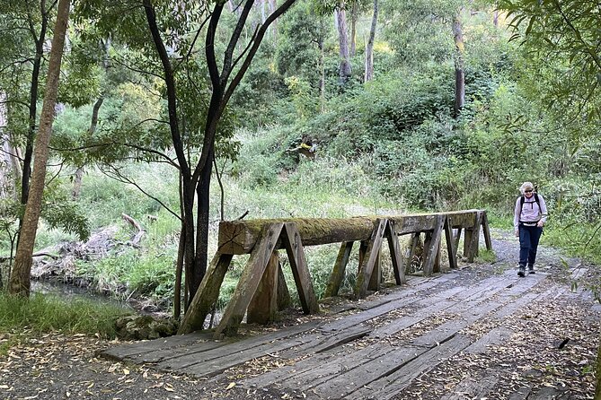 Daylesford Goldfields Track Walking and Wellness Experience - Key Highlights You’ll Actually Care About