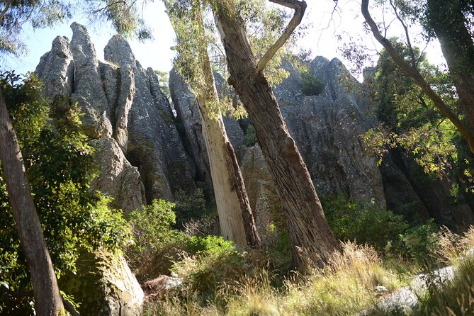 Daylesford Goldfields Track Walking and Wellness Experience - Price and Value: What You’re Really Paying For