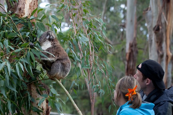 Daylesford Goldfields Track Walking and Wellness Experience - Day 1: Hanging Rock Reserve and Chewton’s Gold Mining Heart