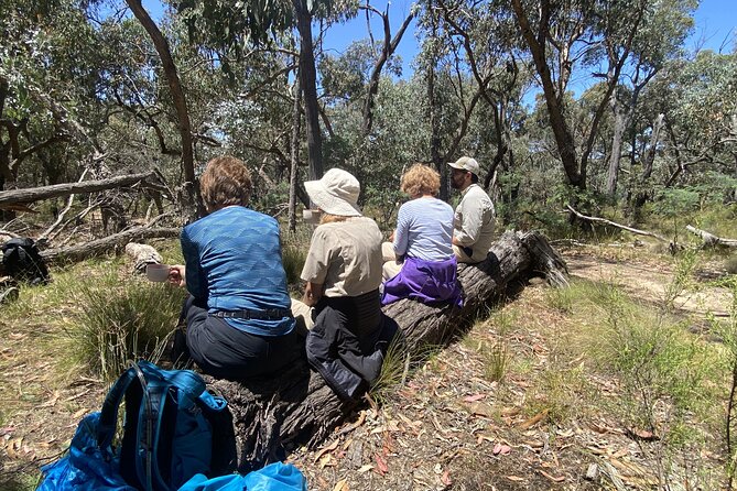 Daylesford Goldfields Track Walking and Wellness Experience - Day 2: Hepburn Springs Dry Diggings to Fryerstown