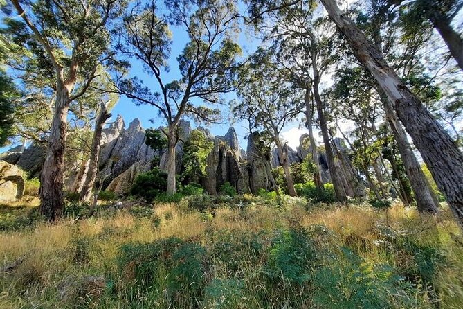 Daylesford Goldfields Track Walking and Wellness Experience - Getting Ready: Pace, Group Size, and the Morning Start
