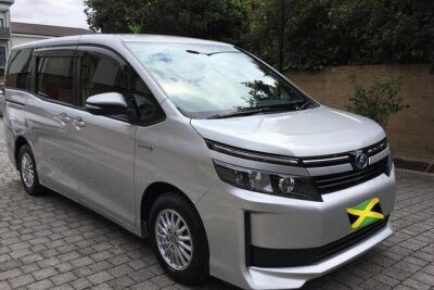 Dreams Rose Hall Resort & Spa Private Airport Transfer - Booking Confirmation to Airport Pickup: How the First Part Works