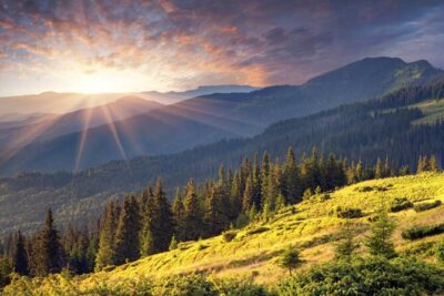 Exclusive Sofia: Nevsky, Vitosha Hoof, Boyana, Horse Ride & Spa - St. Alexander Nevsky: the Orthodox anchor of Sofia