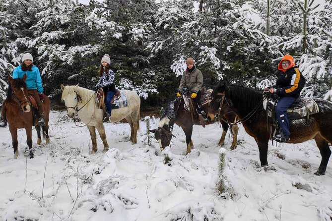 Exclusive Sofia: Nevsky, Vitosha Hoof, Boyana, Horse Ride & Spa - Lunch at Limoncheto: a traditional meal, but budget for it