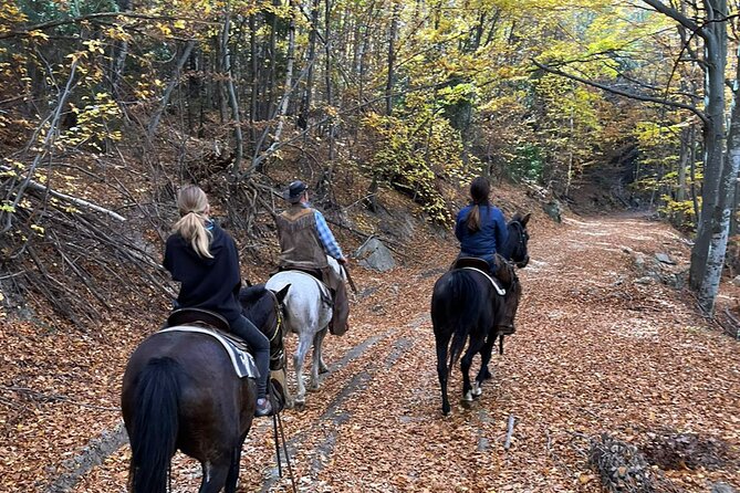 Exclusive Sofia: Nevsky, Vitosha Hoof, Boyana, Horse Ride & Spa - Sapareva Banya spa time: thermal water with ancient roots