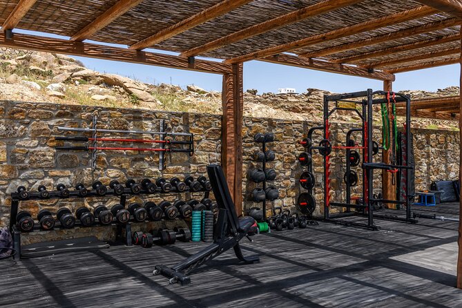 Exclusive Wellness Day Experience in Mykonos - Recovery therapy: hot and cold tools that actually change how you feel