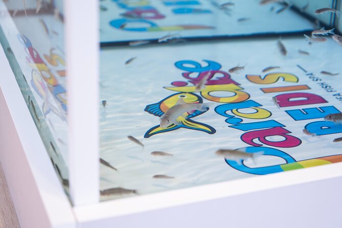 Fish, Fun & Feet – Caribbean’s Largest Fish Spa Experience! - Tips to get the best feet results and the smoothest session