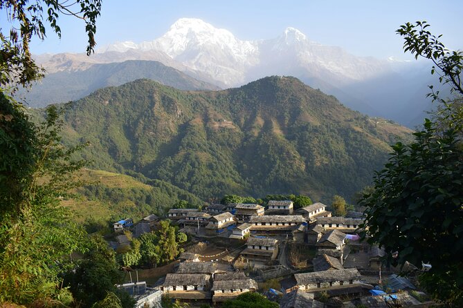 Ghorepani Ghandruk Wellness Yoga Trek - Kathmandu pre-trek reset: Durbar Square, Monkey Temple, Boudha, Pashupatinath