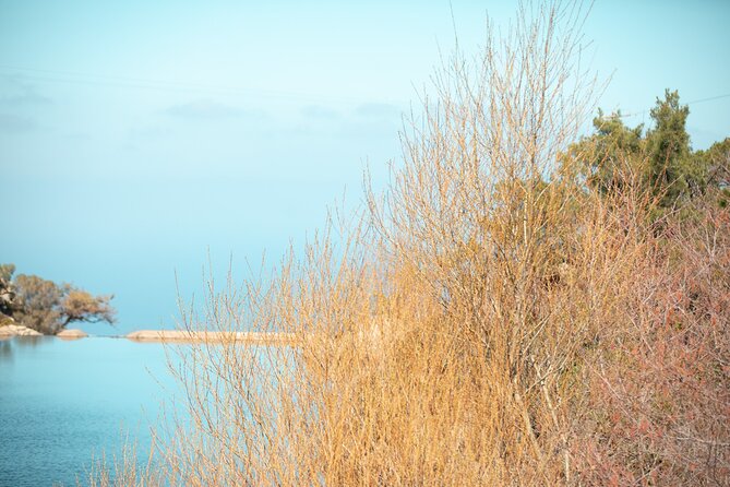 Ikaria Longevity, Family Winery & Wellness - Longevity on Ikaria, Explained Through a Beach, Movement, and Wine Day