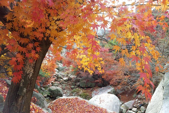 Private Hiking to Bukhansan & Korean Style Spa(Include Lunch) - Korean spa time: what to expect from a jjimjilbang-style finish