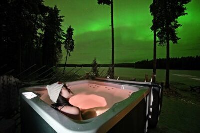 Private tour: Lappish evening (sauna, jacuzzi and dinner) - Dinner by the Fireplace: Blazed Salmon and Local Berries