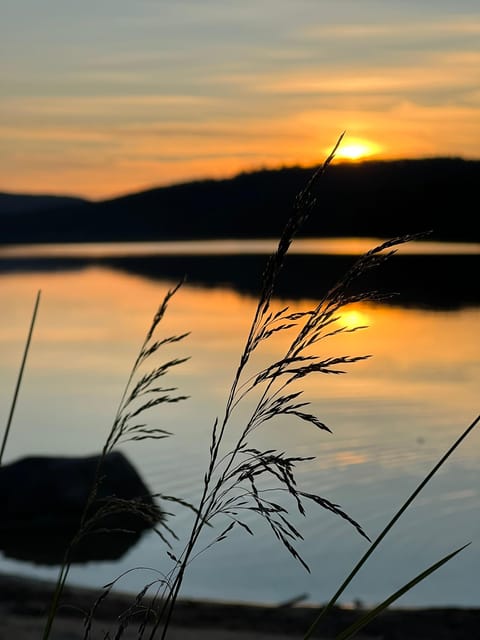 Private Traditional Sauna, Ice Dip and Dinner in the Wild - The Cozy 1981 Cabin and Lakeside Timing