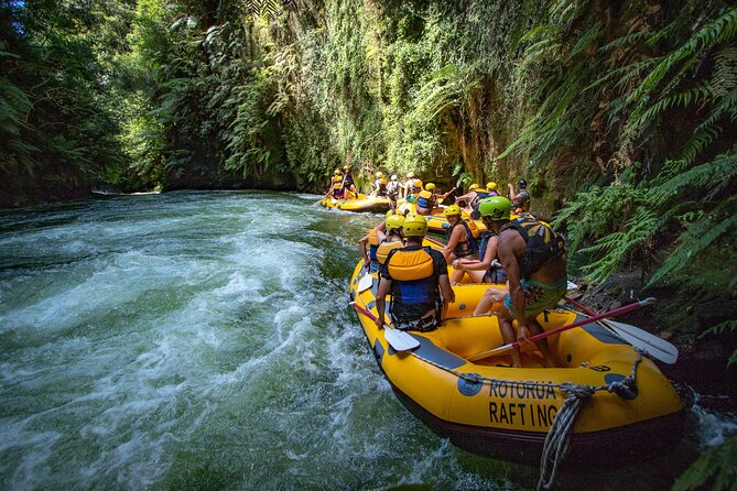 Rotorua Rafting: Kaituna River White Water Rafting & Free Sauna - Should You Book Rotorua Rafting for Kaituna Falls?