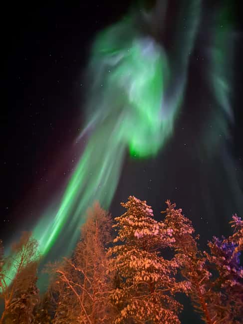 Rovaniemi: Finnish Sauna & Private Jacuzzi - Should you book the Rovaniemi Finnish sauna and private jacuzzi?