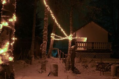 Rovaniemi: Traditional Sauna and Ice Swimming Experience - The 1.5-hour rhythm: what actually happens during your session