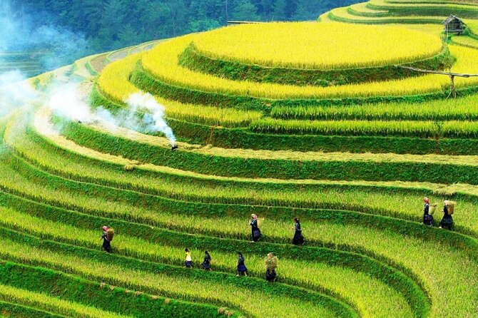 Sapa Muong Hoa Valley & Ta Van Eco Village Scenic Tour (No Trek) - Entering Muong Hoa Valley: Views That Fit a Half-Day Plan