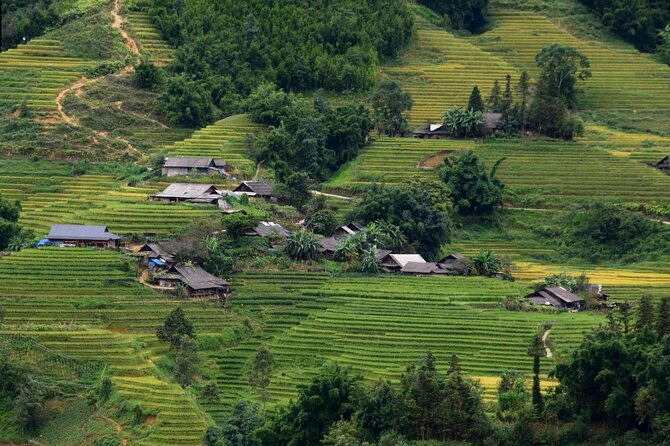 Sapa Muong Hoa Valley & Ta Van Eco Village Scenic Tour (No Trek) - Who Should Book This Sapa No-Trek Tour