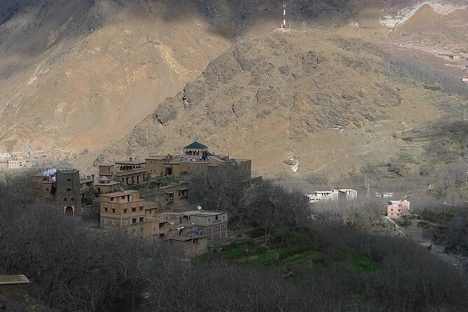 Special Excursion & Lunch at Kasbah Du Toubkal INCLUDING Mule Ride and Hammam - Mule ride and camel ride choices: how to decide on the spot